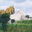 Nesy's survival live logo