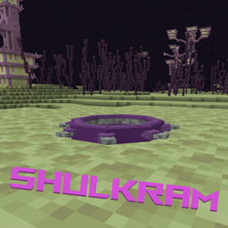 Shulkram project image