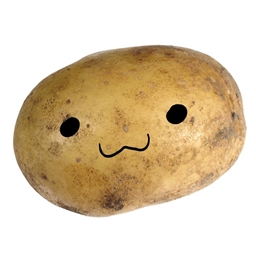 better EXPERIENCE for POTATOES project image