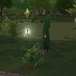 chilldren can be fairy logo