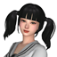 HINA logo