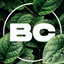 BC Adventure logo