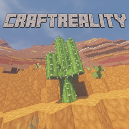 CraftReality project image