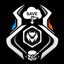 MyRaidSaveID logo