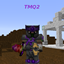 TMQ2 Wasteland logo