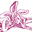 AutoPath logo