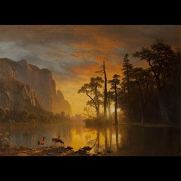 Better Exploration Plus