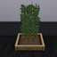 Crimson Seedless Grape Harvestable logo