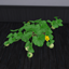 Honeydew Harvestable logo