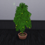 Loquat Harvestable logo