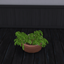 White Carolina Pineberry Harvestable logo