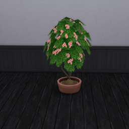 King_Zace Hibiscus Harvestable / translation spanish by Monisims