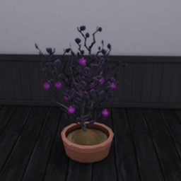 King_Zace Domesticated Plasma Fruit Harvestable / translation spanish by Monisims