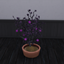 King_Zace Domesticated Plasma Fruit Harvestable / translation spanish by Monisims logo