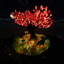 TLZ Community Server Pack logo