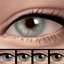 Adelma Eye Lenses logo