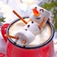 Cosy as a Marshmallow logo
