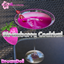 Strawberry Cocktail | Cahaya Dreams Collection logo