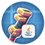 All the Create 6.0! logo