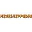 Mine Shippuden logo