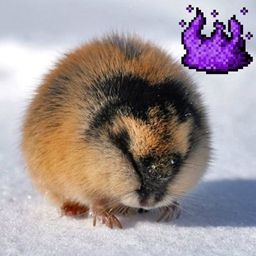 Frog in the Wild with Magic Unleashed logo