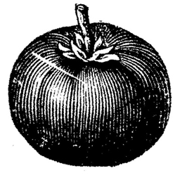 Outposts logo