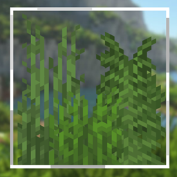 Nexus Colorful Grasses project image