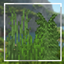 Nexus Colorful Grasses logo