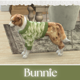 Large Dog Sweater