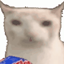 Cobblemon SMP - [MODIFIED] Cobblemon: PLUS logo