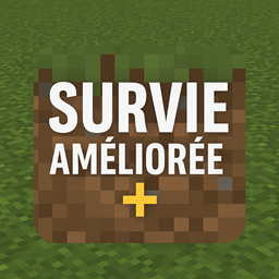 Survie Améliorée + project image