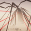 Arachnophobia (nateplaysbruh) logo