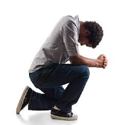Zeuology project image