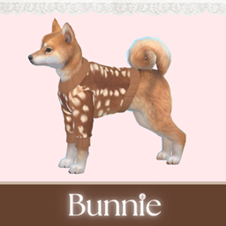 Small Dog Sweater