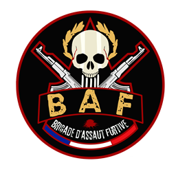 BAF Server logo