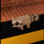 Raccoonnized Foxes logo