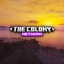 The Colony Network logo