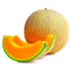 ErgoExperience logo