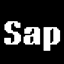 SAP - Raid Updater logo