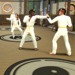 Martial Arts | Polish Translation