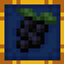 Elderberry Grove logo