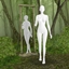CAS Room: Wild Forest logo