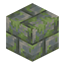 Nemo's Mossy Blocks logo