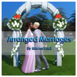 Marriages of Convenience by MizoreYukii Spanish translation logo