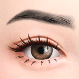 Brows 69 HQ
