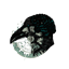 Locrow AI logo