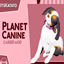 Planet Canine (Active Doggy Daycare Business) logo