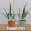 Onion Pot logo