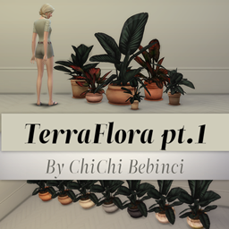 TerraFlora potted plants pt.1 project image