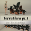 TerraFlora potted plants pt.1 logo
